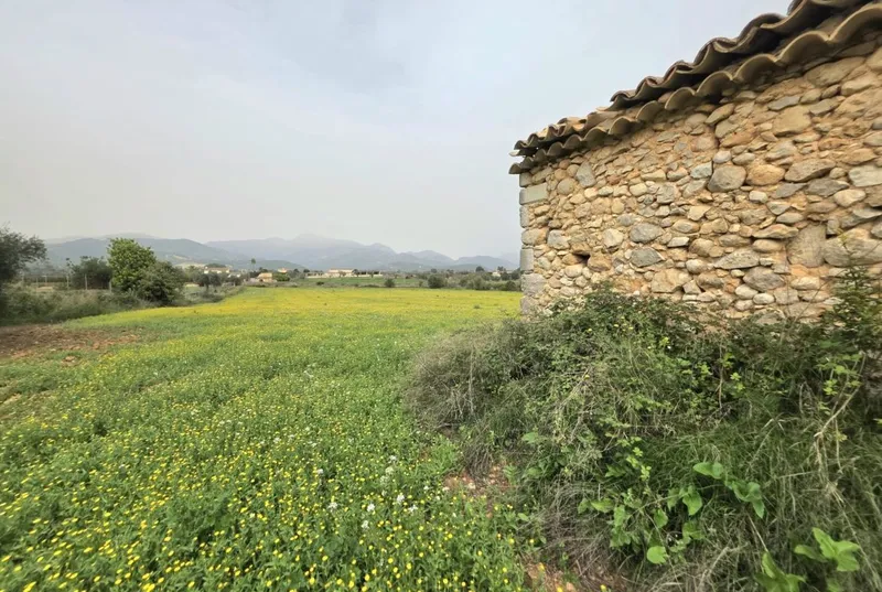 Rustic estate with improvement project — photo 7