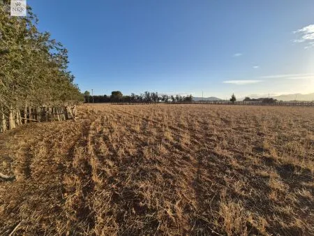 Rustic property in Muro, 140 m² built, 18,400 m² plot, 1 room, 1 bathroom — photo 11