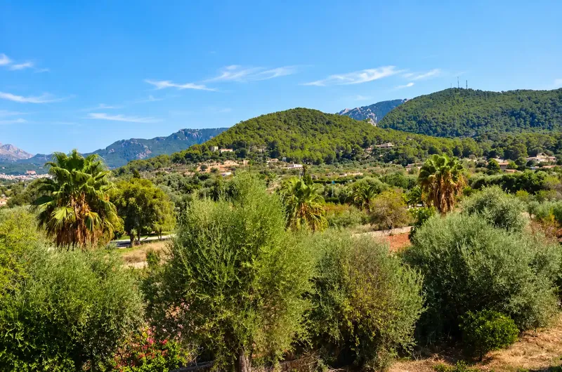 Encantadora finca de estilo tradicional mallorquín situada en un entorno tranquilo y natural, muy cerca de Puerto de Andratx, una de las zon — photo 7