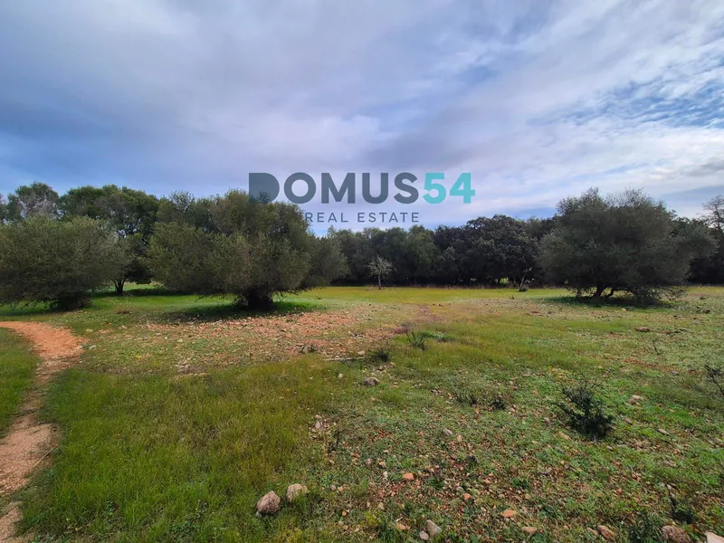 Rustic land for building in Buger — photo 7