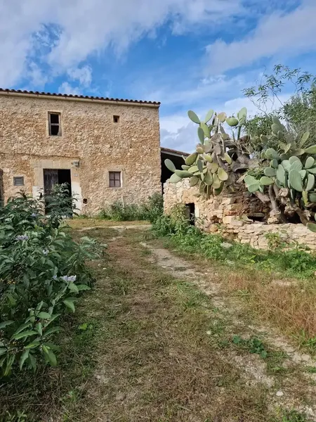 Can Voreta: Authentic Mallorcan estate in one of the best-preserved rural landscapes of northeast Mallorca — photo 5