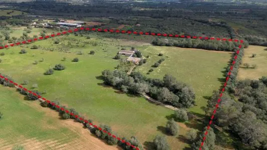 House with land - Porreres (Outskirts) — photo 1