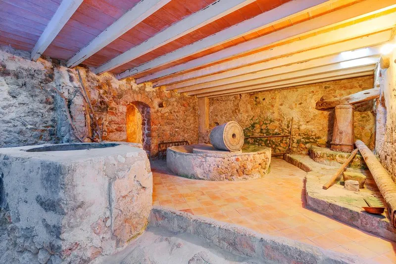 Antigua finca with holiday license in Valldemossa — photo 11