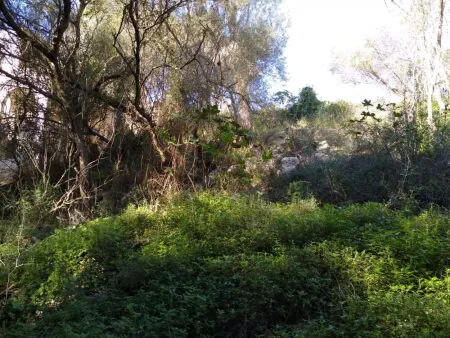 Building Site - Santanyí (Cala Llombards), Built Surface 200m², Plot Surface 680m² — photo 7
