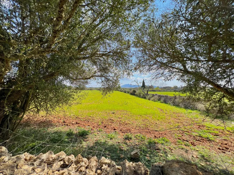Rustic plot of 14,884 m² between Porreres and Felanitx with spectacular views of Sant Salvador — photo 7