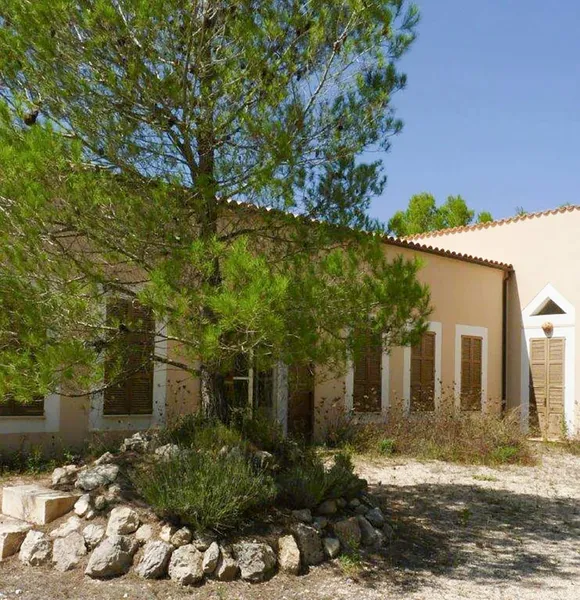 Rustic Finca with country house and own forest in Artà — photo 5