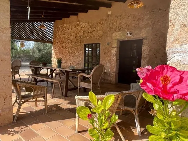 Finca/Country House for rent in Felanitx, Mallorca — photo 8