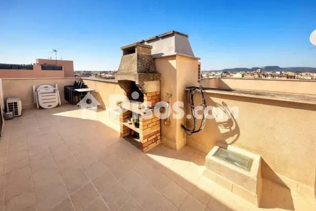 Attic in Campos — photo 1