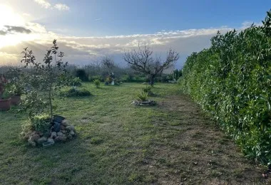 Charming rustic finca in Muro - Your natural refuge awaits! — photo 8