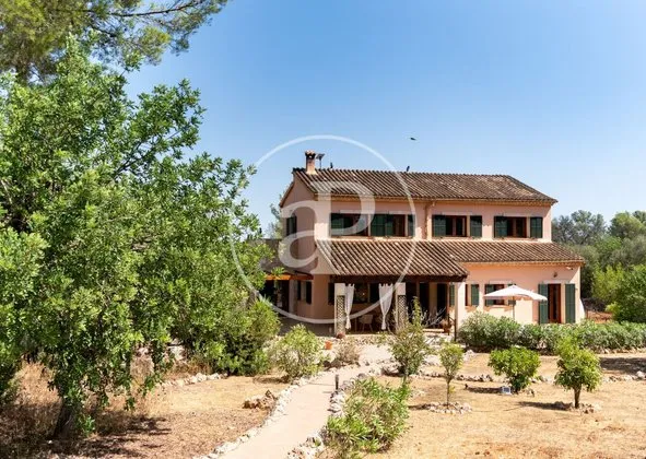 Detached house in Algaida — photo 1