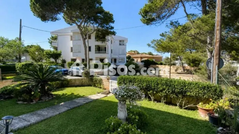 Piso en Santa Margalida — photo 2