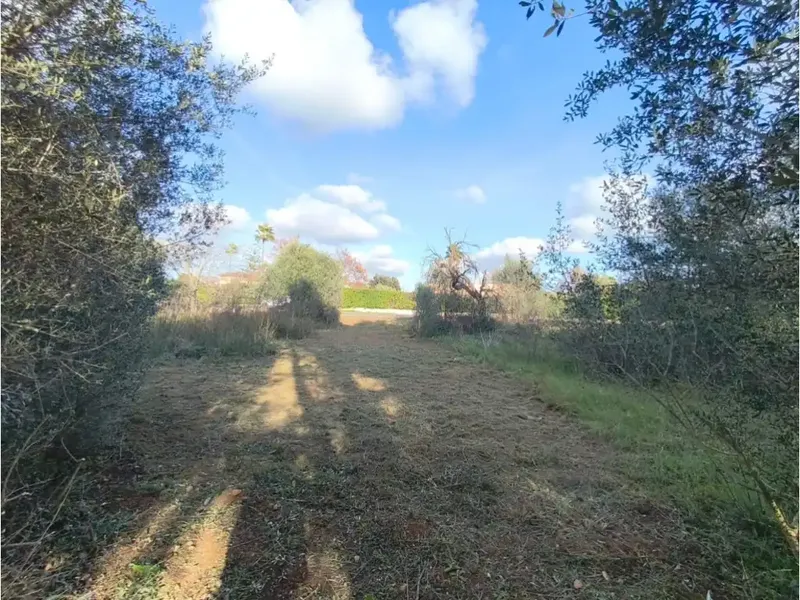 Rustic estate for sale on Camí de Sencelles, excellent location minutes from Inca center — photo 8