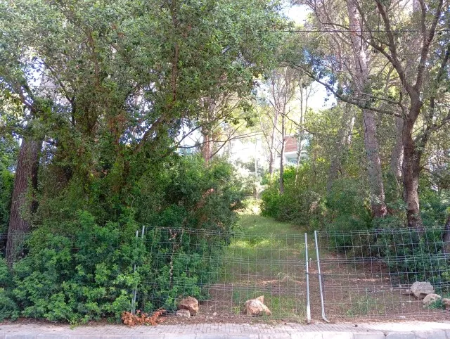 Exclusive residential plot for sale in a prestigious area of Puerto Pollensa, Mallorca — photo 1