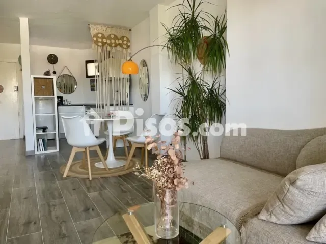 Apartamento en Palmanova-Son Caliu — photo 1