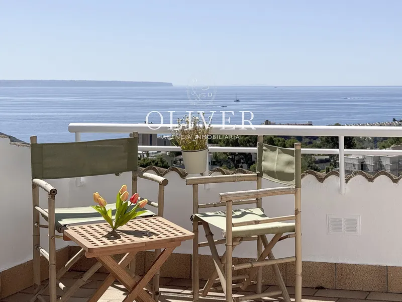 Triplex penthouse in Cas Català — photo 2