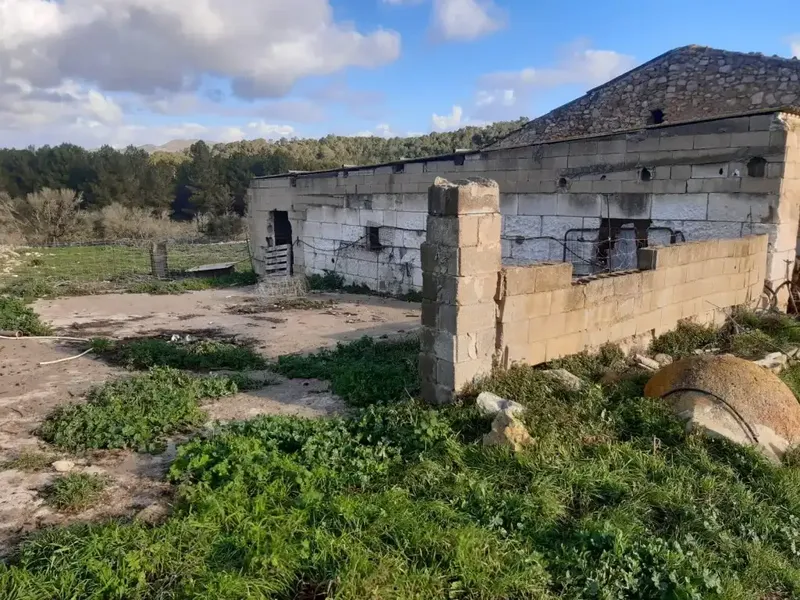 Discover this buildable rustic estate of approximately 59,500 m2, offering a construction of about 345 m2 with ample possibilities — photo 7
