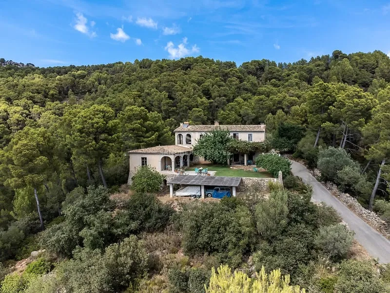 Private Finca for Sale in Andratx with Stunning Mountain Views — photo 4