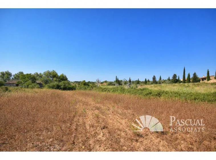 Opportunity: Plot with permit in Sant Llorenc — photo 3