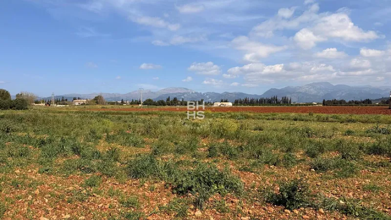 Country plot for sale in Llubí — photo 3
