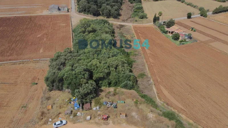 plot in Llubi — photo 12