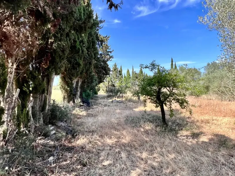 On the outskirts of Muro, next to the train station, we have this beautiful rustic estate with about 7,200 m2 of land and about 40 m2 — photo 2