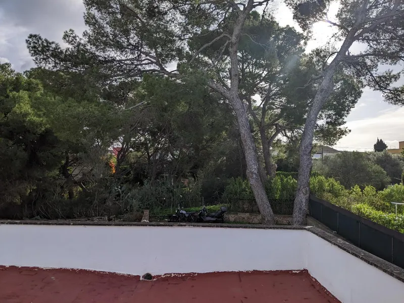 Apartment building in Son Verí — photo 12