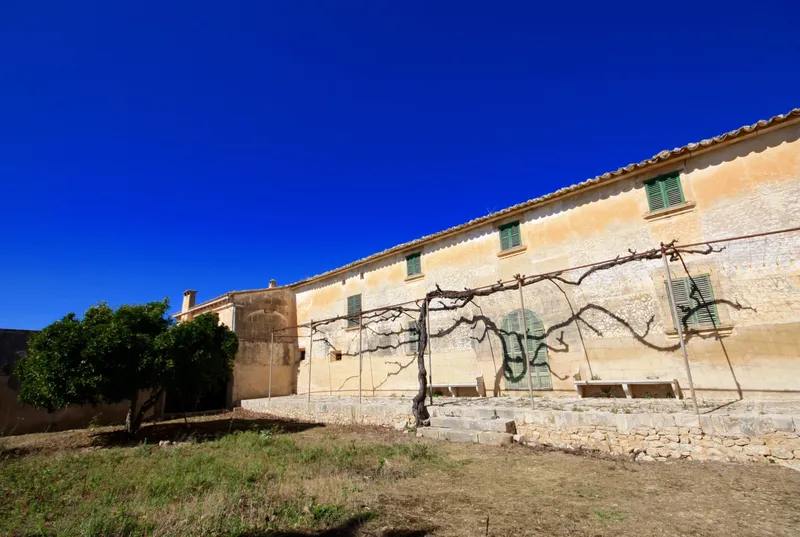 Large historical country house set in an old vineyard with extensive grounds in Algaida — photo 1