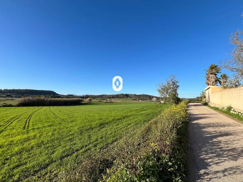 Land in Montuïri, Province of Balearic Islands — photo 4