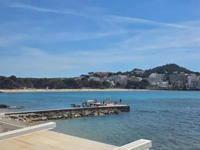 Apartment in Calvià (Santa Ponça) with 46 m², 1 room, 1 bathroom, 14 m to the sea, lift — photo 2