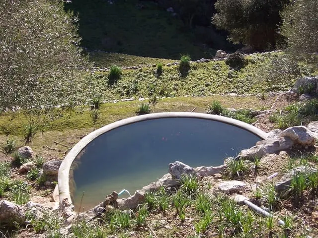 Finca/Country House for sale in Escorca, Mallorca — photo 6
