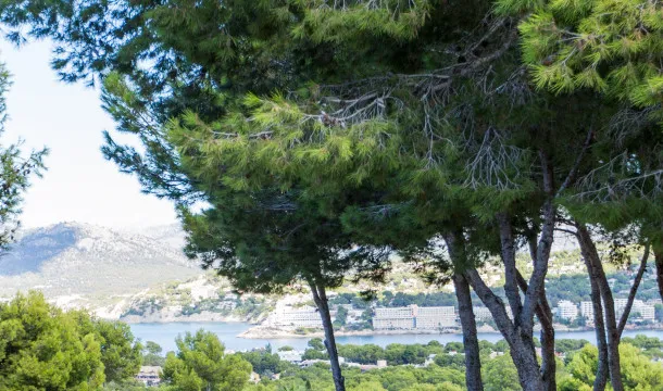 Villa with slight sea views in Nova Santa Ponsa — photo 12