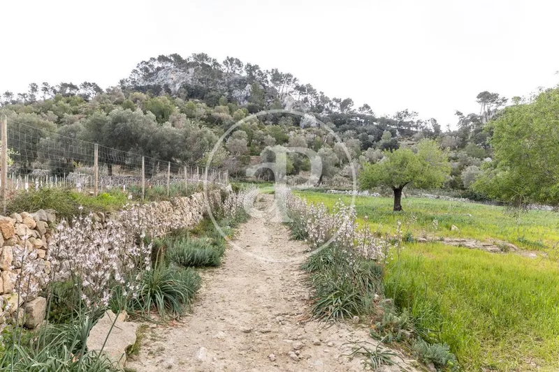 Villa in Esporles, Province of Balearic Islands — photo 2