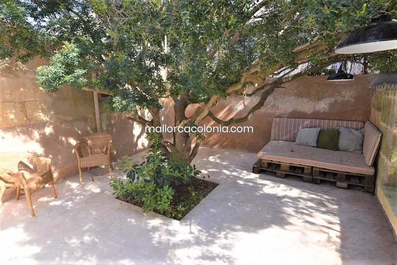 Village house in Colònia de... — photo 3