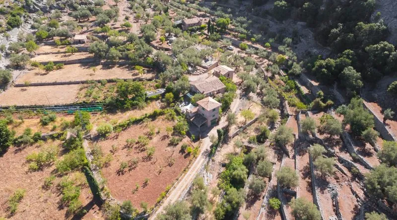 Rustic finca in the heart of the Sierra de Tramuntana — photo 1