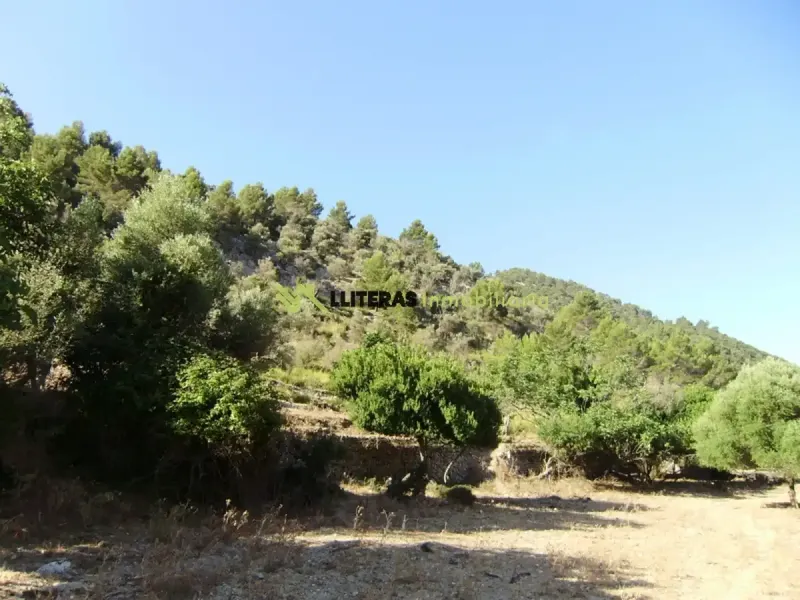 Fantastic estate in the Orient area with incredible panoramic views of the Serra de Tramuntana, located in an elevated and idyllic spot surrounded — photo 5