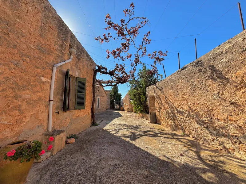 Rustic estate in Palma — photo 1