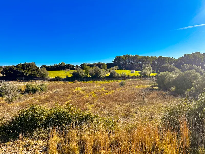 Building plot with marvellous views and project — photo 5