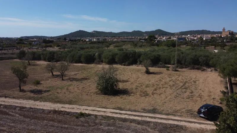 Rustic plot of 1,753 m² near Porreres — photo 9