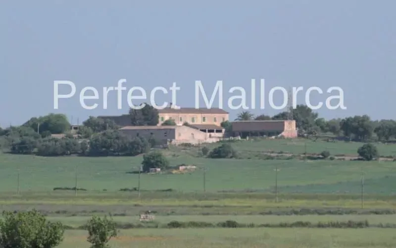 Majorcan country estate near Villafranca de Bonany — photo 1