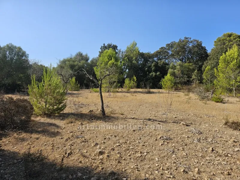 Finca in Artá — photo 1