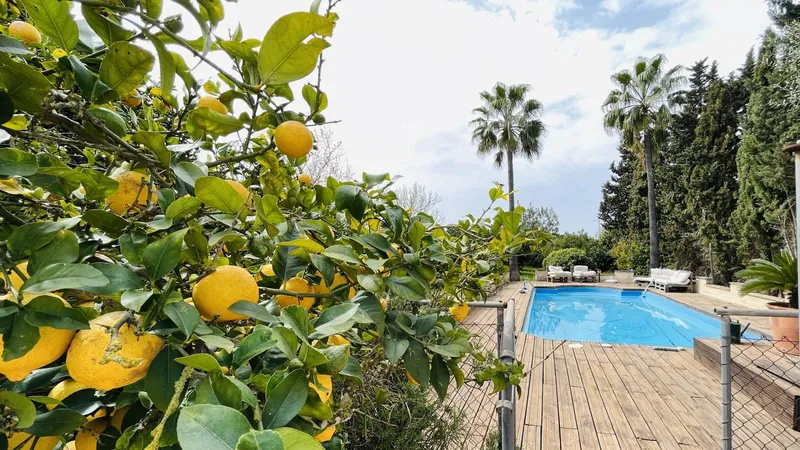 Finca/Country House for sale in Algaida, Mallorca — photo 2