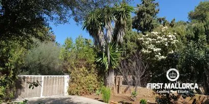 Real estate picture 0 Ref. No. 80926 — photo 2