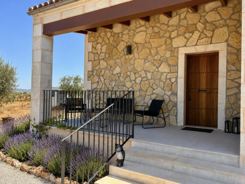 Modern 3-bedroom finca with a pool near Campos — photo 12