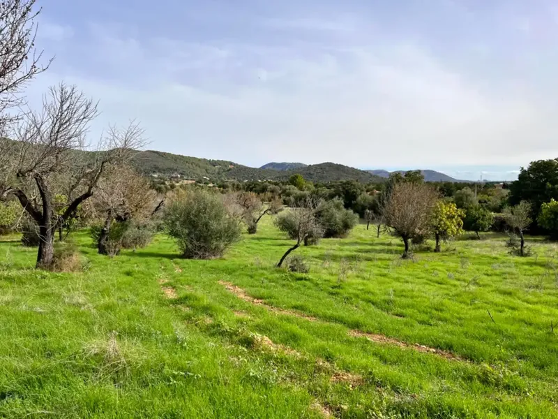 Finca with project in Campanet, near 17,400 m2 of land, with views of the Serra de Tramontana and the area of the Caves of Campanet — photo 2