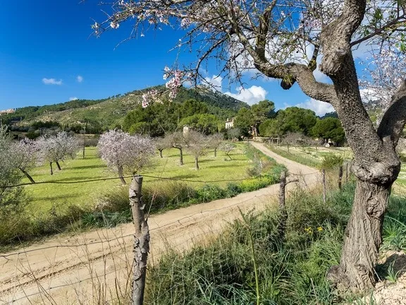 Investment! Historic property in Paguera with many possibilities — photo 3