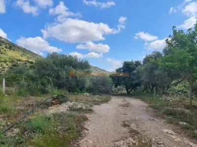 House for sale in a very quiet area 4km from Sant Llorenç — photo 5