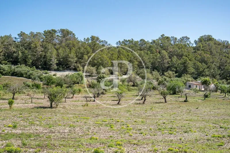 Land in Montuïri, Province of Balearic Islands — photo 8