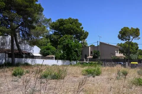 Land in Palmanova, Mallorca — photo 7