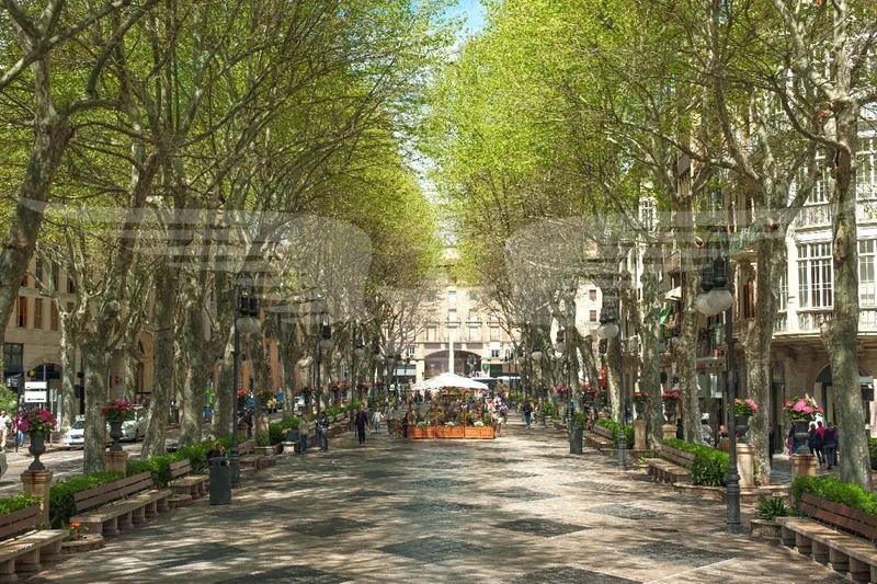 A Highlight in Downtown Palma – New Construction Ready for Occupancy in Spring 2028 — photo 11