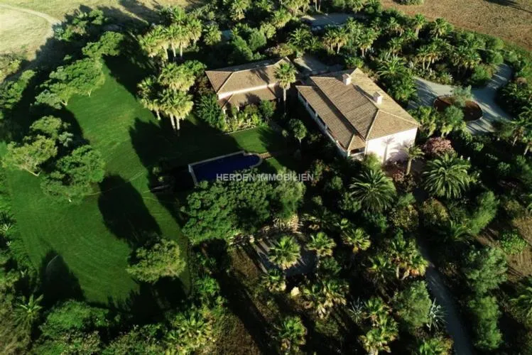 Luxury Finca for Sale in Santa Margalida - Mallorca — photo 4